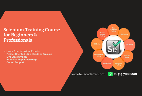 Selenium Training Course for Beginners & Professionals